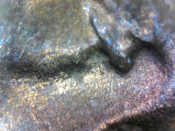 CRH-1942-P-LWC-Double-Eye-Or-Eye-Booger?